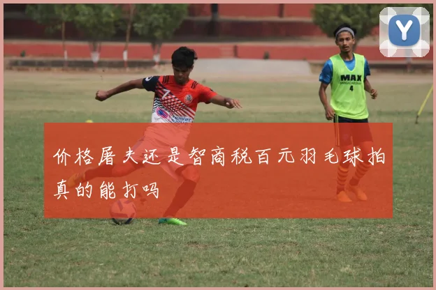 价格屠夫还是智商税百元羽毛球拍真的能打吗